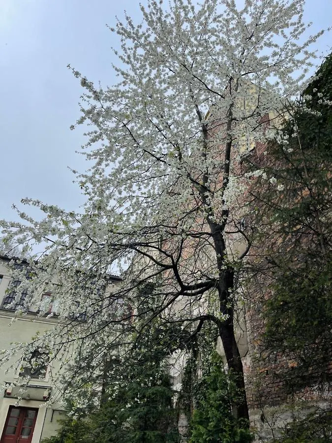 Secret Garden Krakow - Wonderful City Centre Apartment - Ground Floor - Quiet Location